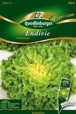 Quedlinburger Kopfendivie Eminence