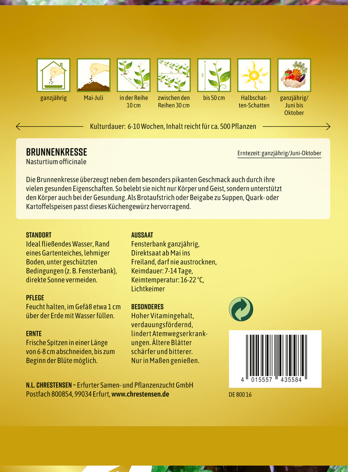 N.L. Chrestensen Brunnenkresse Ganzjährig in Topfkultur