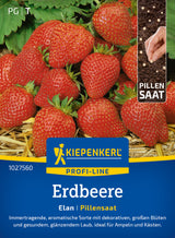 Kiepenkerl Erdbeeren Elan Pillensaat