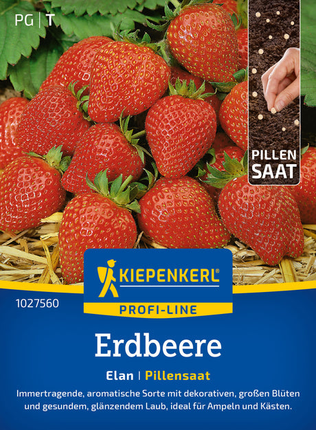 Kiepenkerl Erdbeeren Elan Pillensaat