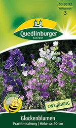 Quedlinburger Marienglockenblume Prachtmischung