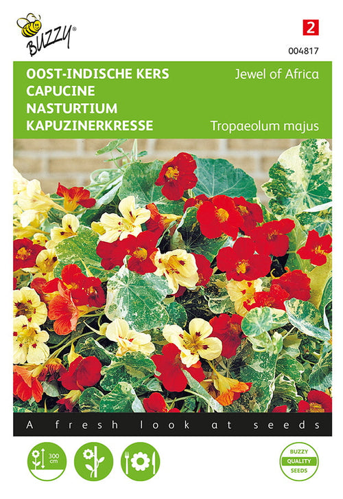 Buzzy Seeds Kapuzinerkresse Jewel of Africa