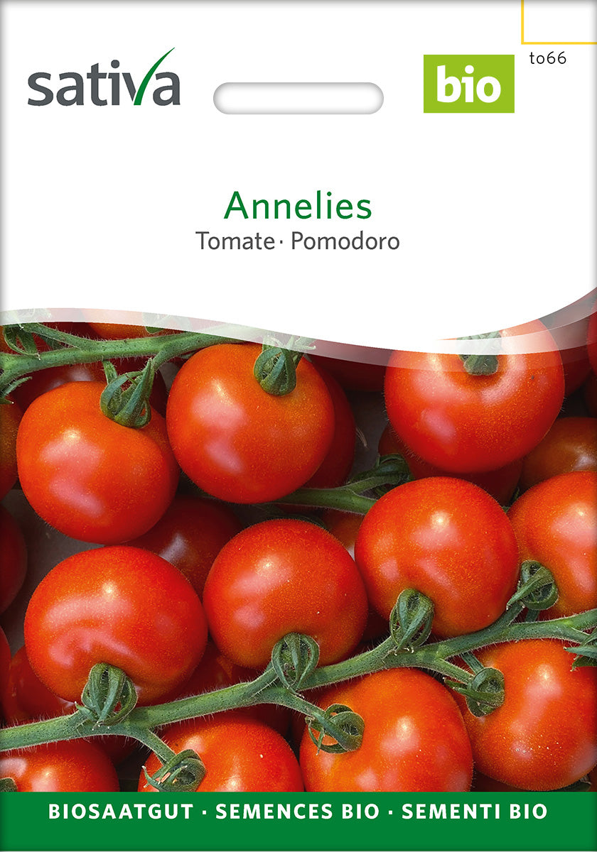 Sativa Tomate Annelies