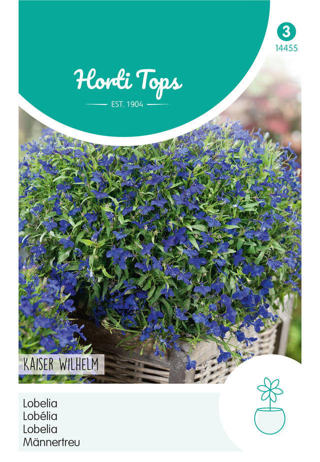 Horti Tops Männertreu Compacta Kaiser Wilhelm