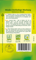 Quedlinburger Trichterwinde dreifarbige Mischung