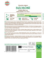 SPERLI Buschbohne Dubbele Witte z.dr.