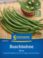 Kiepenkerl Buschbohnen Davis