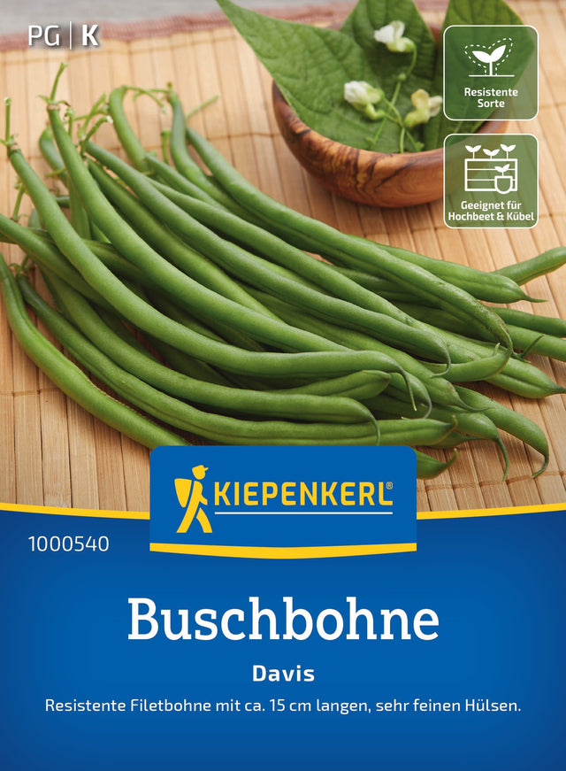 Kiepenkerl Buschbohnen Davis