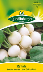 Quedlinburger Sommerrettich Runder weißer