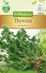 N.L. Chrestensen Thymian mehrjährig