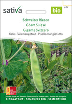 Sativa Kefe Schweizer Riesen