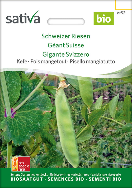Sativa Kefe Schweizer Riesen