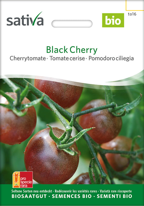 Sativa Cherrytomate Black Cherry