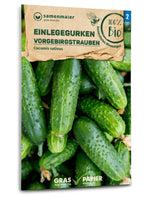 Samen Maier BIO Einlegegurken Vorgebirgstrauben