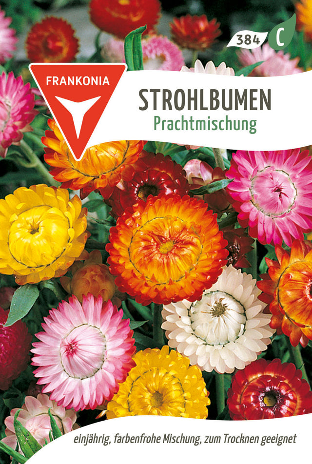 Frankonia Samen Strohblumen Prachtmischung