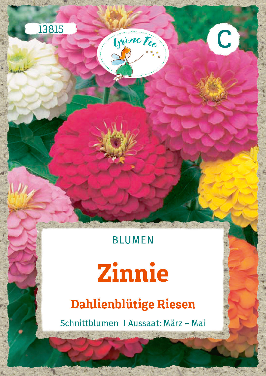 Grüne Fee Zinnien Dahlienblütige Mischung
