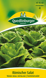 Quedlinburger Römischer Salat Verde degli ortolani