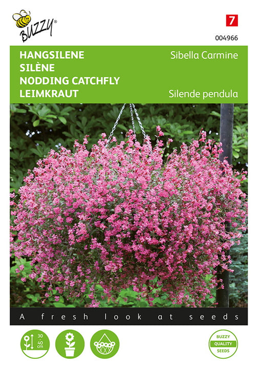Buzzy Seeds Leimkraut Sibella Carmine