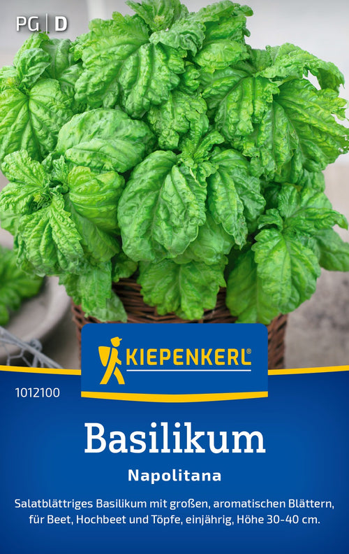Kiepenkerl Basilikum Napolitana