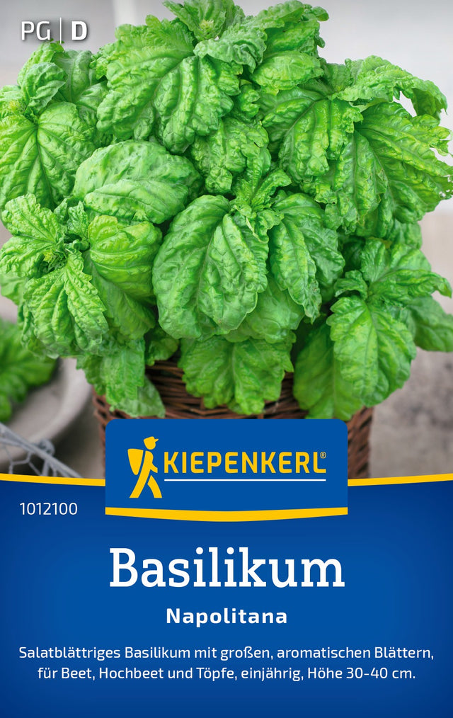 Kiepenkerl Basilikum Napolitana