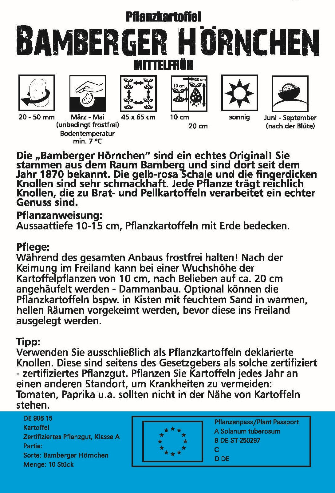 Pflanzkartoffel Bamberger Hörnchen 10 Stück