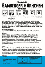 Pflanzkartoffel Bamberger Hörnchen 10 Stück