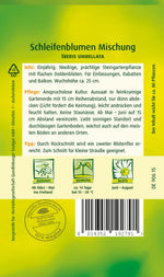 Quedlinburger Schleifenblume Mischung