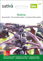Sativa Rosenkohl Rubine