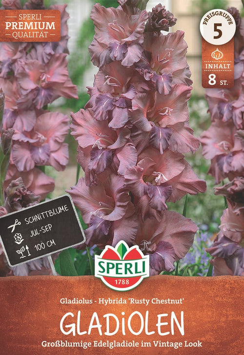 SPERLI Gladiole Rusty Chestnut