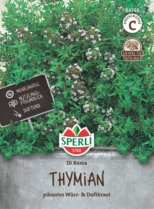 SPERLI Thymian Di Roma