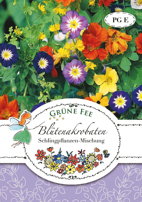 Grüne Fee Blumen-Mischung Schlingpflanzen Kletternde Sommerblumen