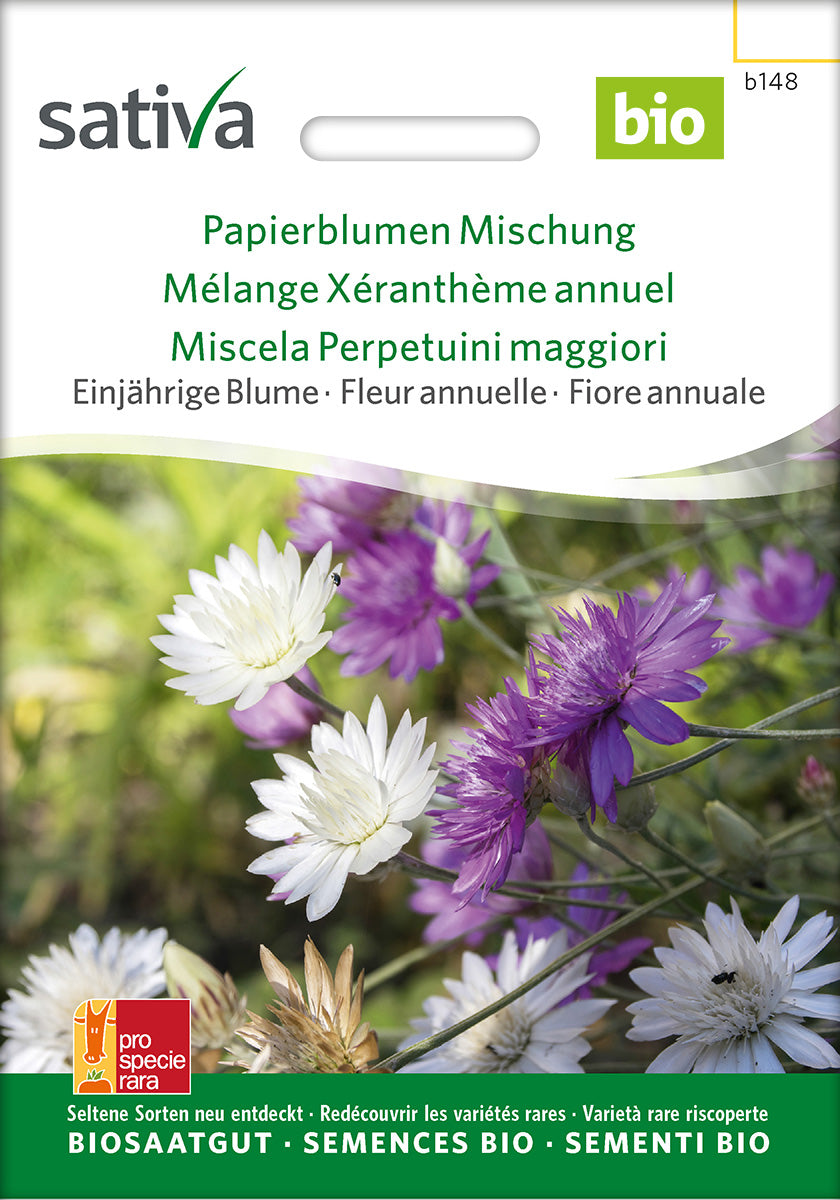 Sativa Papierblume Mischung