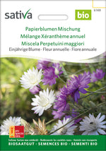Sativa Papierblume Mischung