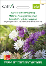 Sativa Papierblume Mischung