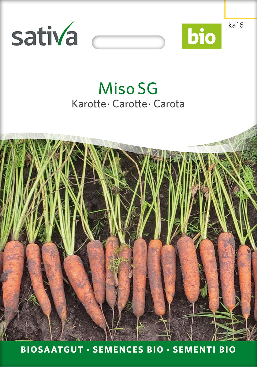 Sativa Karotte Miso SG