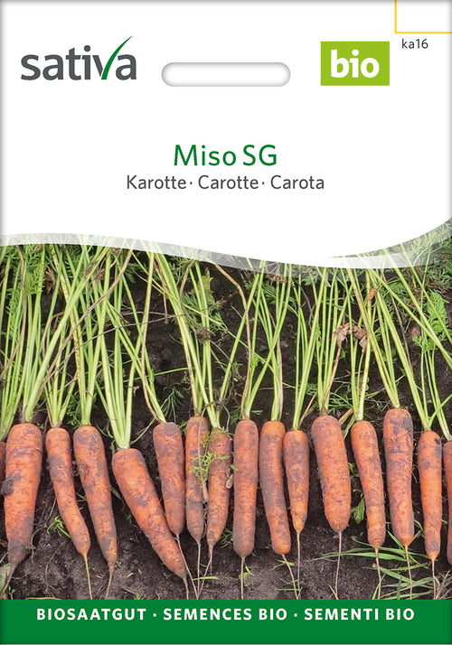 Sativa Karotte Miso SG