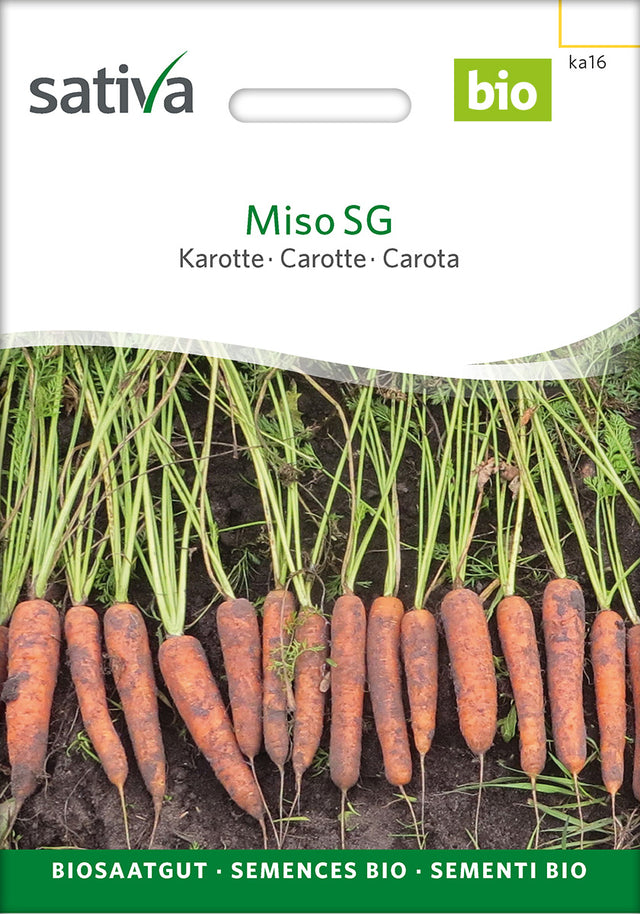 Sativa Karotte Miso SG