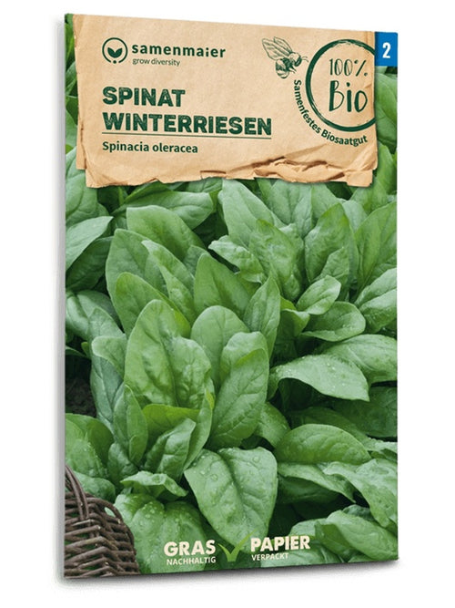 Samen Maier BIO Spinat Winterriesen