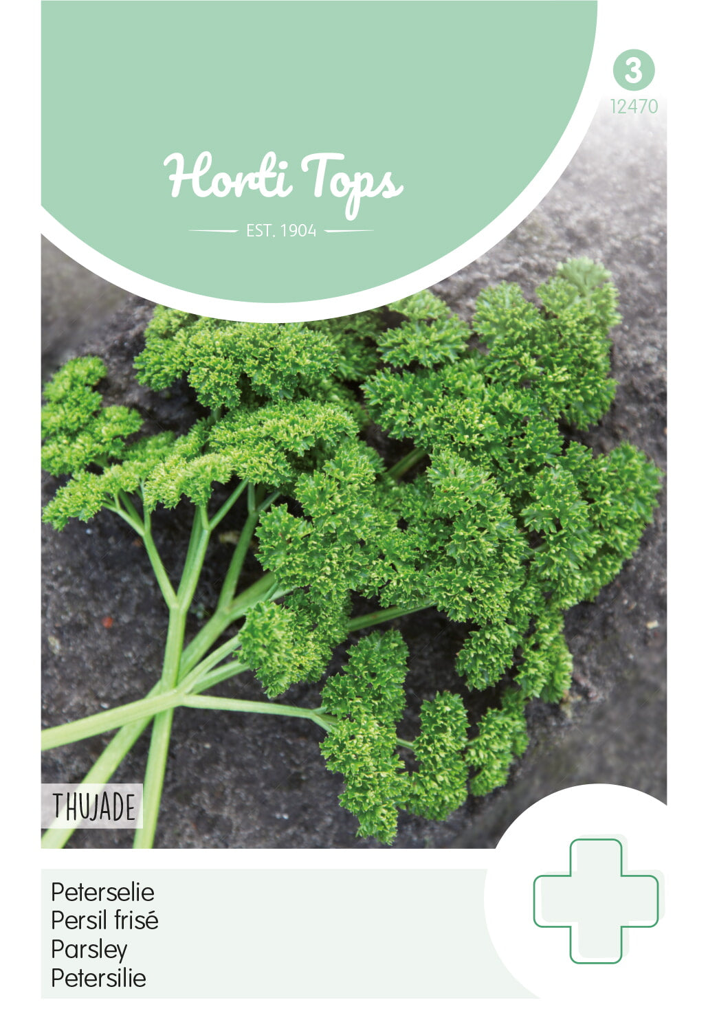 Horti Tops Petersilie Thujade Dunkelgrüne Krause