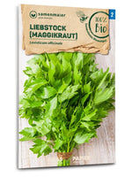 Samen Maier BIO Liebstöckel Maggikraut