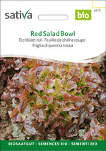 Sativa Eichblatt rot Red Salad Bowl