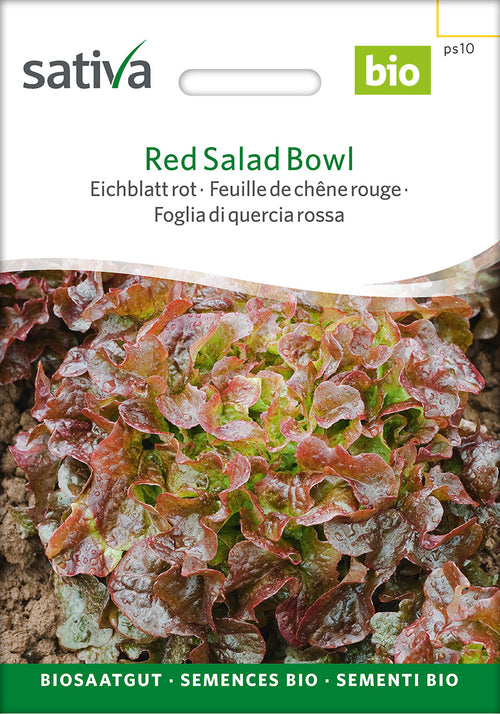 Sativa Eichblatt rot Red Salad Bowl