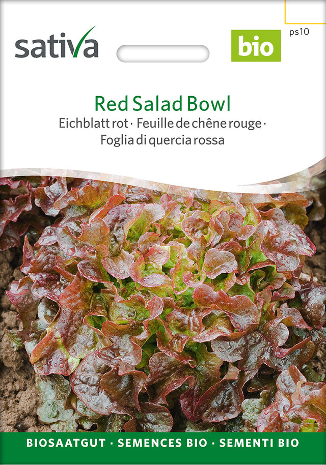 Sativa Eichblatt rot Red Salad Bowl
