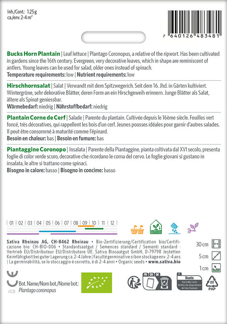 Sativa Salat Hirschhornsalat