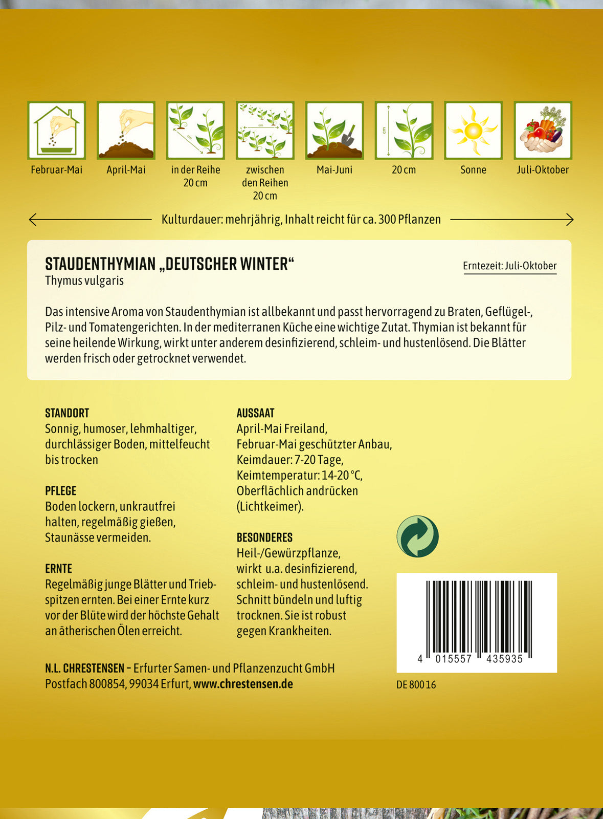 N.L. Chrestensen Staudenthymian Deutscher Winter