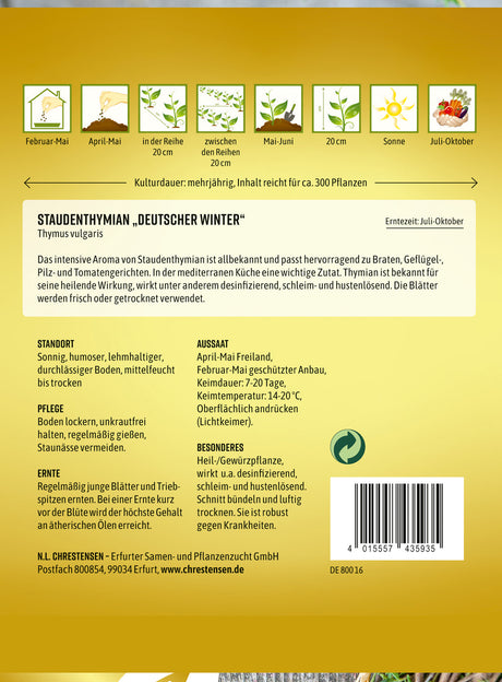 N.L. Chrestensen Staudenthymian Deutscher Winter