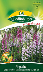 Quedlinburger Fingerhut großblumige Mischung