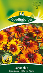 Quedlinburger Rudbeckia Herbstwald