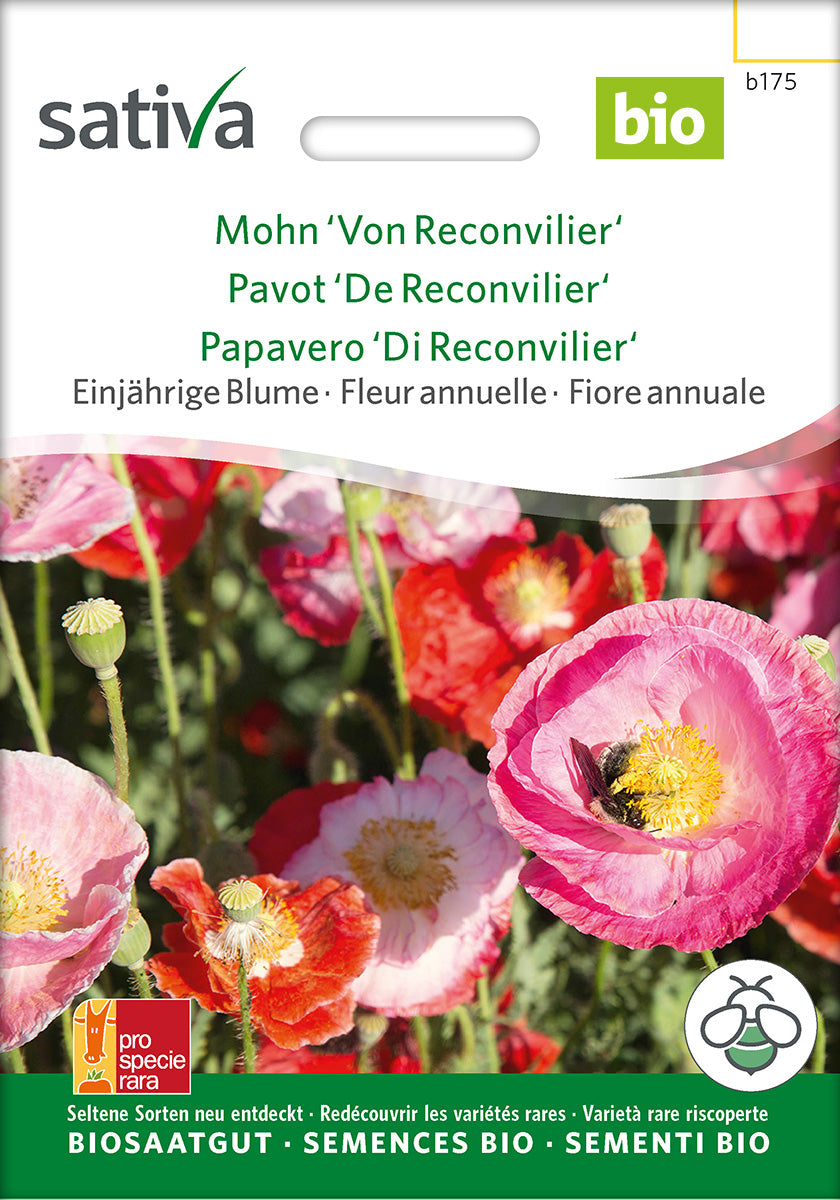 Sativa Mohn Von Reconvilier
