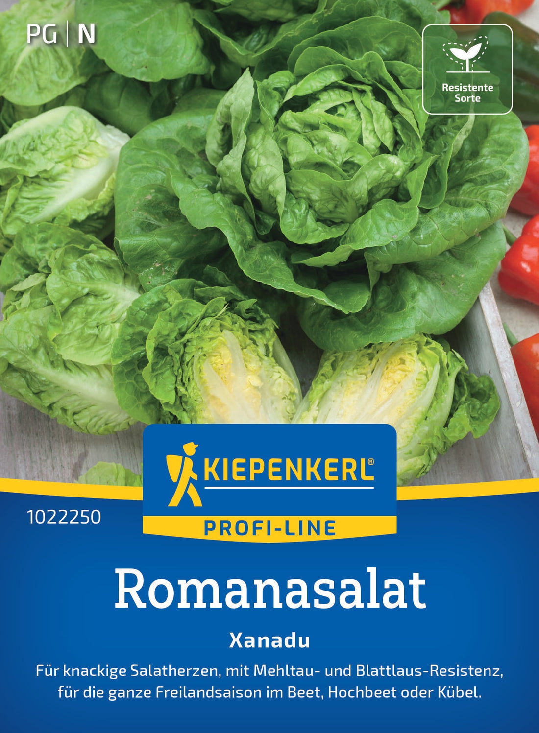 Kiepenkerl Kopfsalat Xanadu